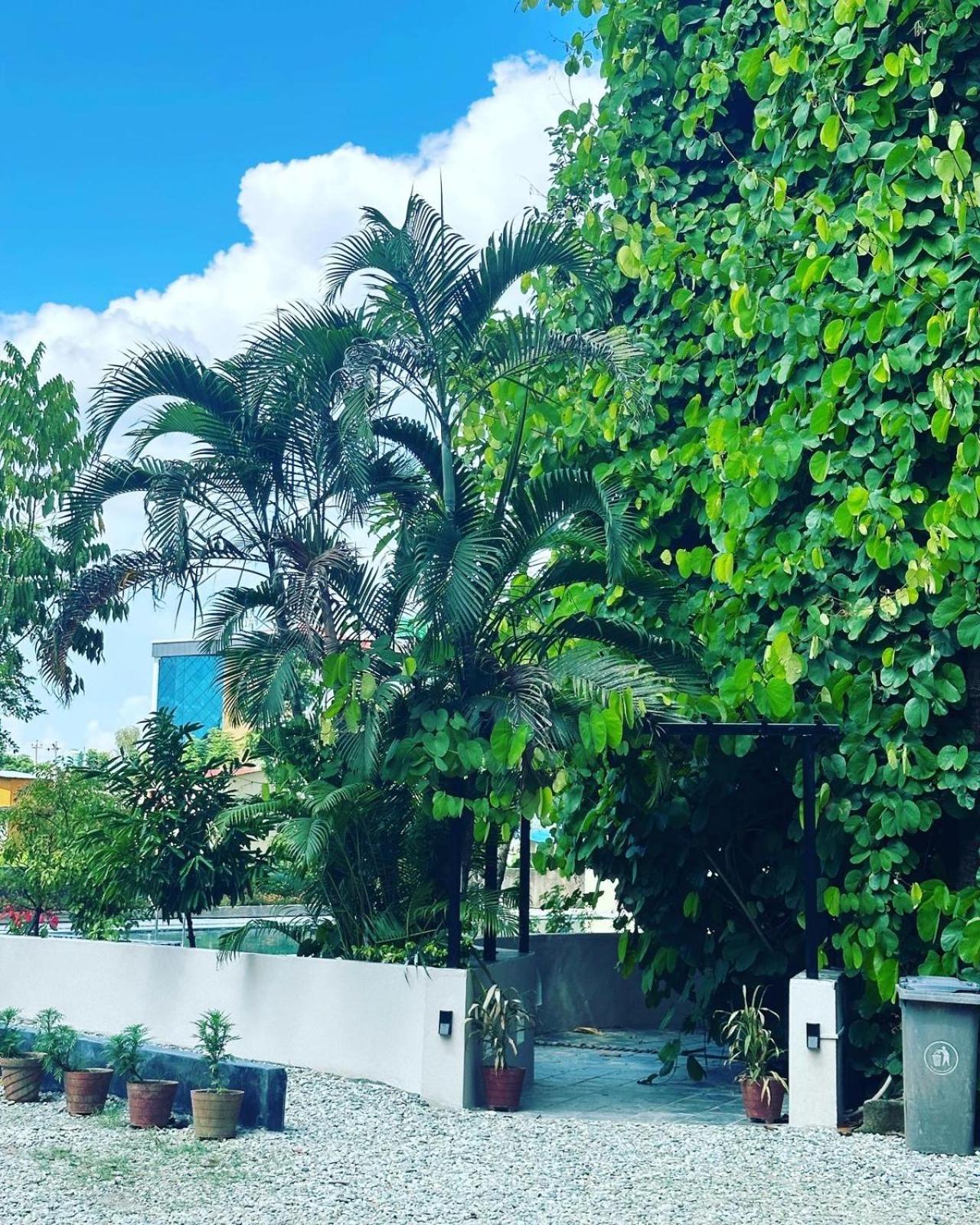 Hotel Parkside & Swimming Pool-Between Greenery And Azure ,Your Perfect Retreat チトワン エクステリア 写真