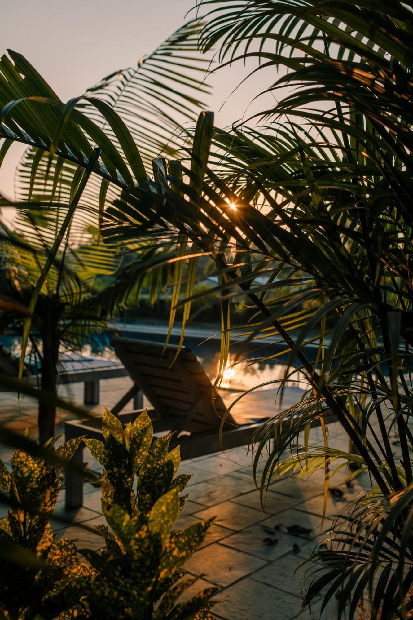 Hotel Parkside & Swimming Pool-Between Greenery And Azure ,Your Perfect Retreat チトワン エクステリア 写真