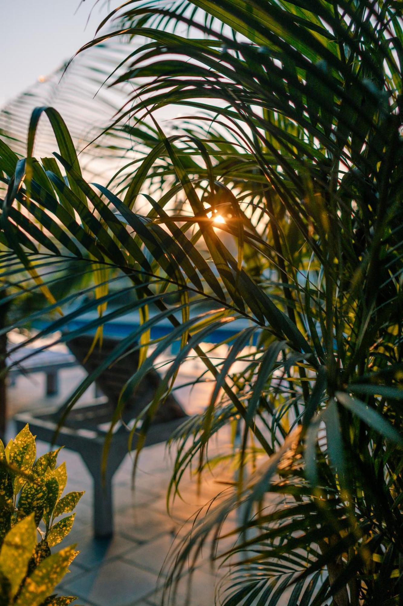 Hotel Parkside & Swimming Pool-Between Greenery And Azure ,Your Perfect Retreat チトワン エクステリア 写真